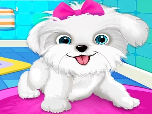 Puppy: Pet Salon & Dog Daycare